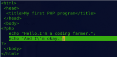 PHP尝试（一）第一个PHP措施