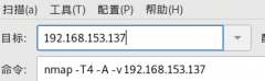 Web信息收集