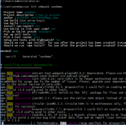  1、进入项目文件夹 vue init webpack vuedemo webpack新建vue项目