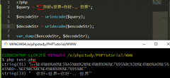 是为了保护原义字符以免其被解释为特殊的 URL 定界符