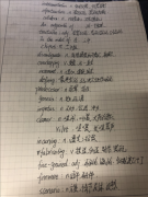 受实验基础设施成功的鼓励