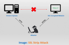 <b># we must redeclare the STS headerlocation / servlet { add_h</b>