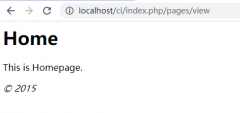 其他的 HTTP 请求都会经过你的 index.php 文件