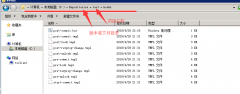 windows svn自动更新