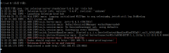 selenium grid使用(windows+linux)