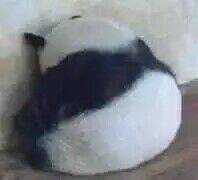 看版本就不用多说了吧