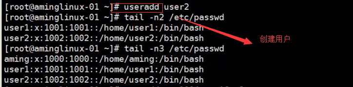 三周第一次课 2.27linux和windows互传文件 3.1 用户配置文件和暗码配置文件 3.2