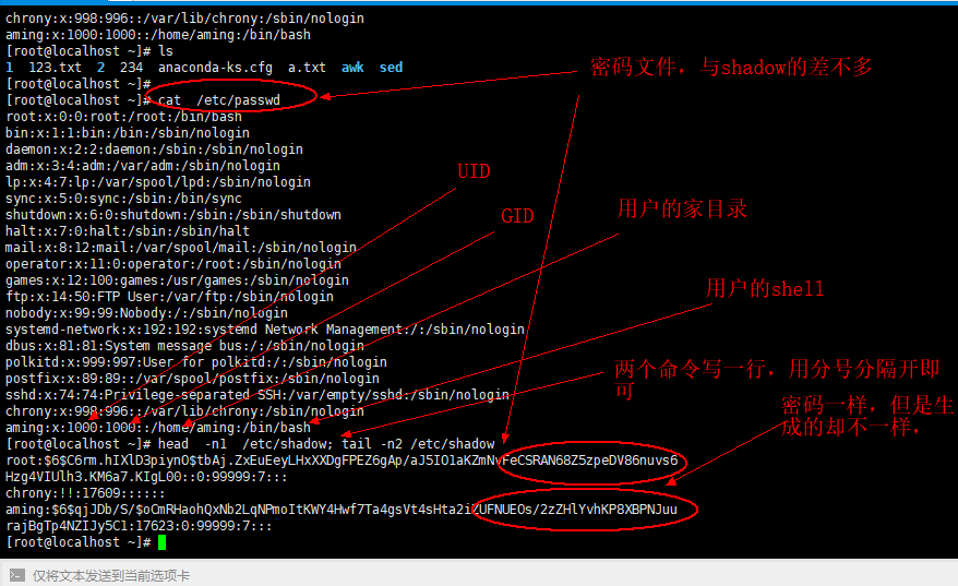 2.27linux和windows互传文件 3.1 用户配置文件和暗码配置文件 3.2 用户组打点