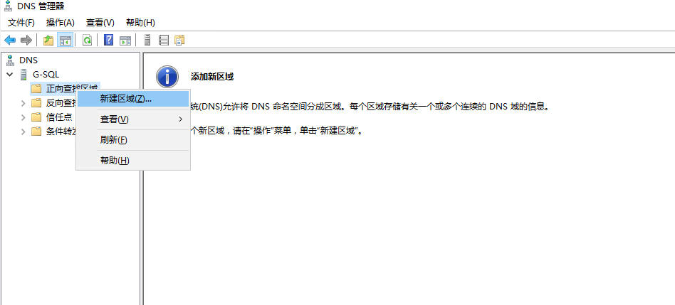 DNS