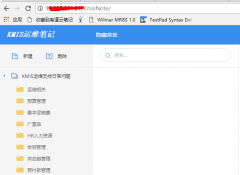 手头上恰好有一个使用windows身份验证的站点