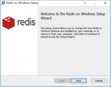 安装Redis-x64-3.2.100.msi