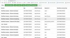 使用zeebe DebugHttpExporter 查看zeebe 工作流信息