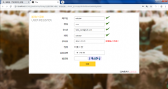 HTML+CSS+JS综合练习（动态验证版）