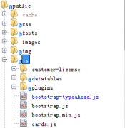 JS常用标签