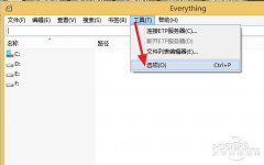 【转】Everything中文绿色版在Win7/8用不了？