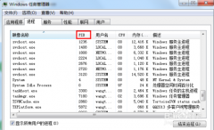 windows查看某个端口被谁占用