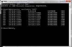 windows查看端口被进程占用