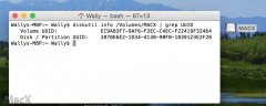Windows 格式硬盘 Mac存文件 开启 ...(转载)